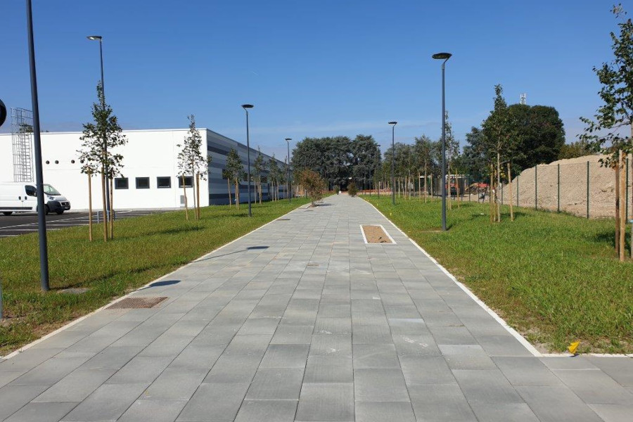 MV1
